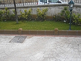 DSCN0587