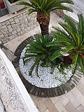 IMG-20191007-WA0006